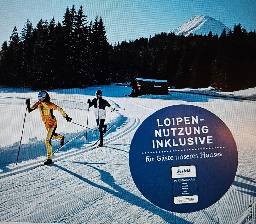 로이타쉬 Alpineas 아파트 외부 사진